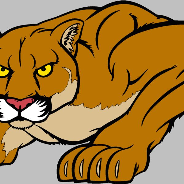 cougar06v4clr Thumbnail