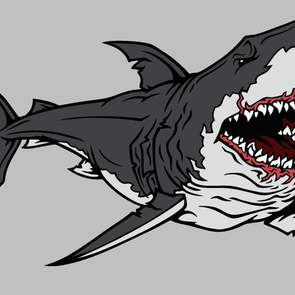 shark01v4clr Thumbnail