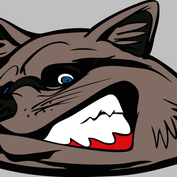 raccoonhd02 Thumbnail