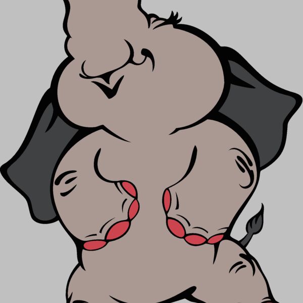 elephant02v4clr Thumbnail