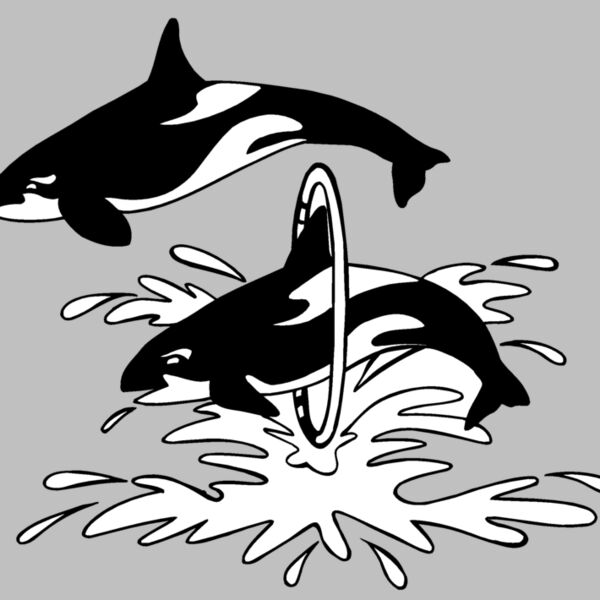 killerwhale02 Thumbnail