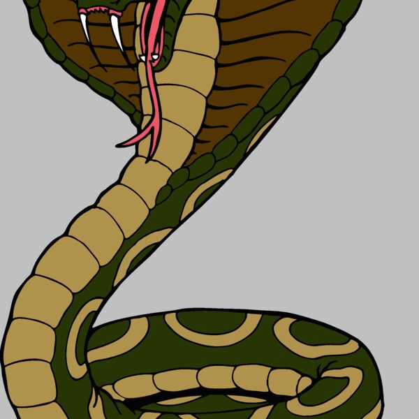 cobrasnk01 Thumbnail