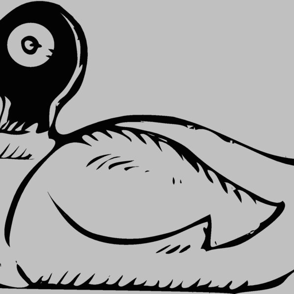 duck2 Thumbnail