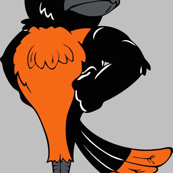 oriolemsct02 Thumbnail