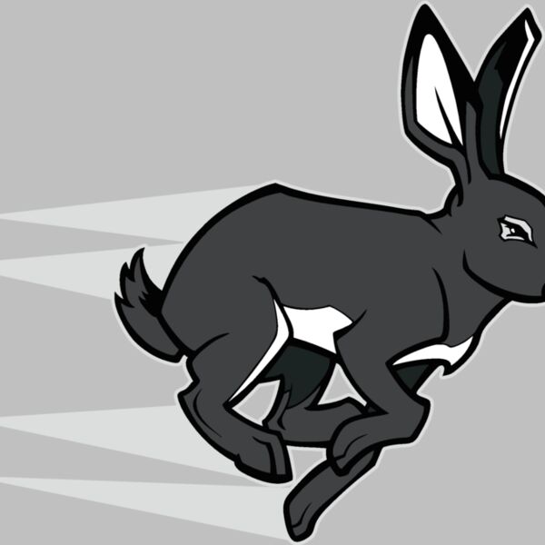 rabbit04v4clr  2  Thumbnail