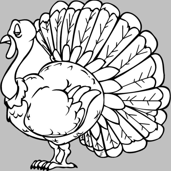 turkey Thumbnail