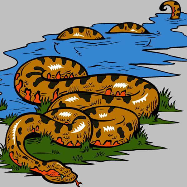 snake13v4clr Thumbnail