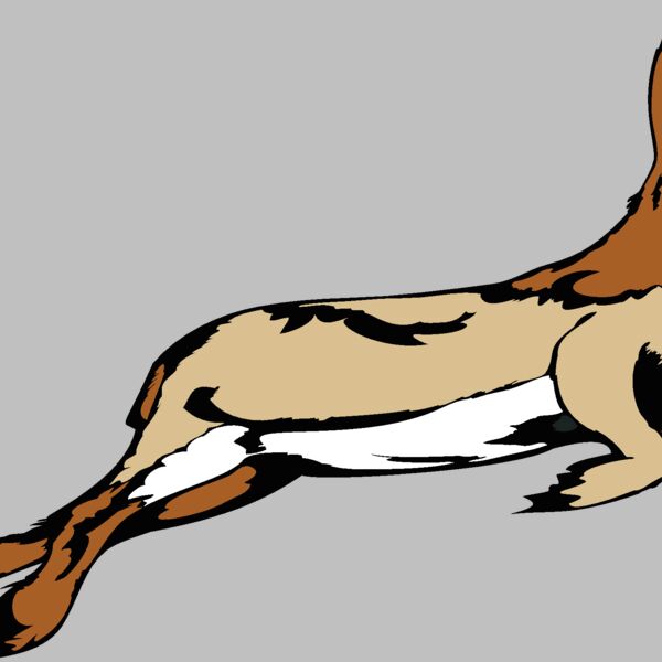 rabbit05v4clr  2  Thumbnail