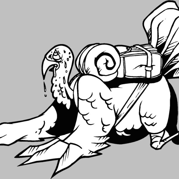 tiredturkey Thumbnail