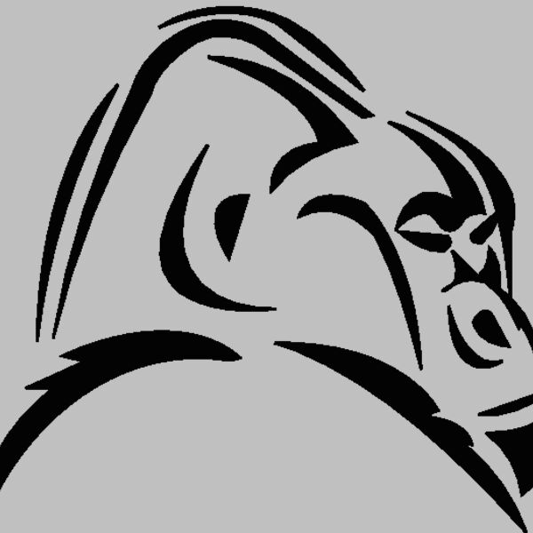 gorilla 13 Thumbnail