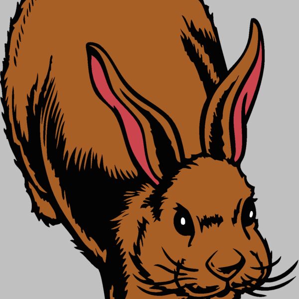 rabbit03v4clr Thumbnail