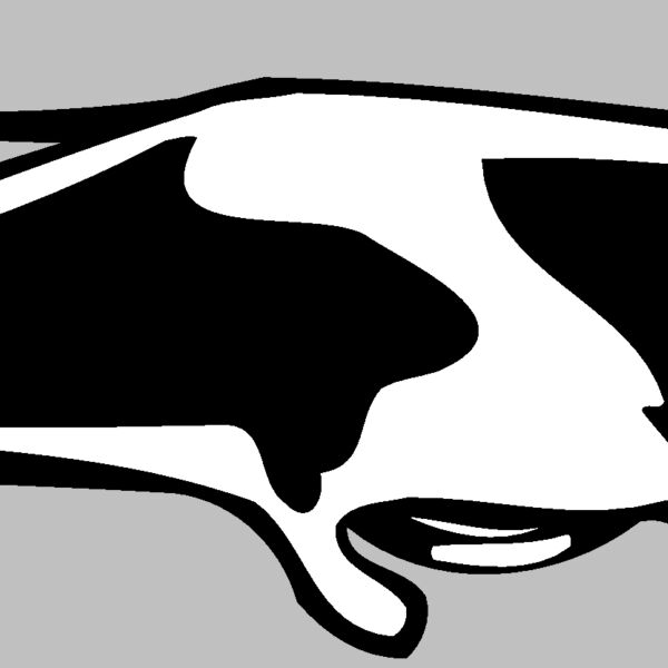 mantaray02 Thumbnail