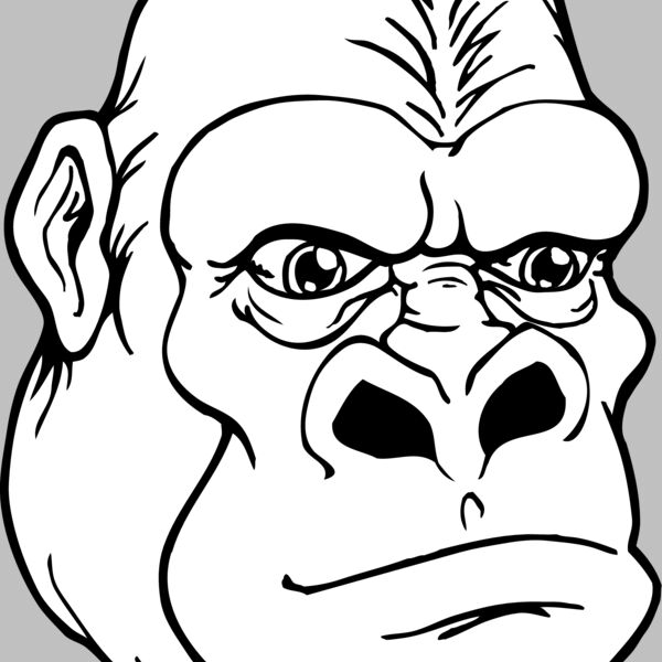 gorilla 14 Thumbnail