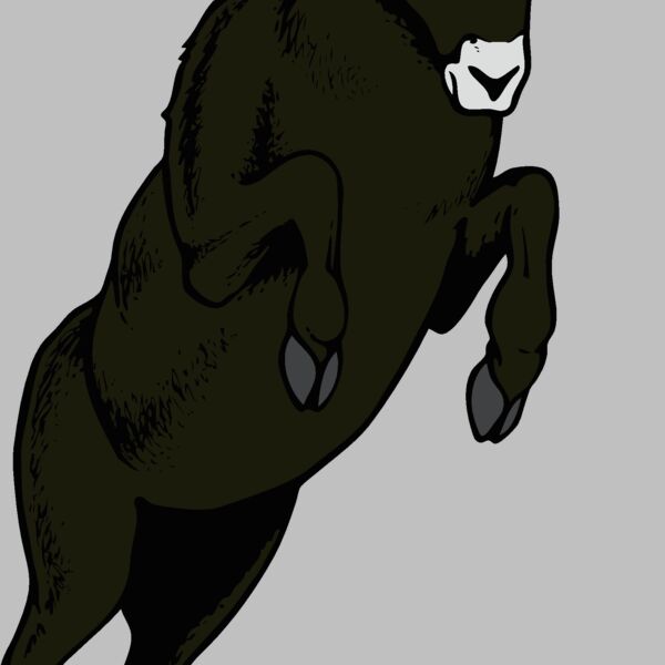 ram06v4clr Thumbnail