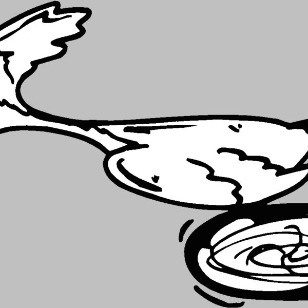 roadrunner3 Thumbnail