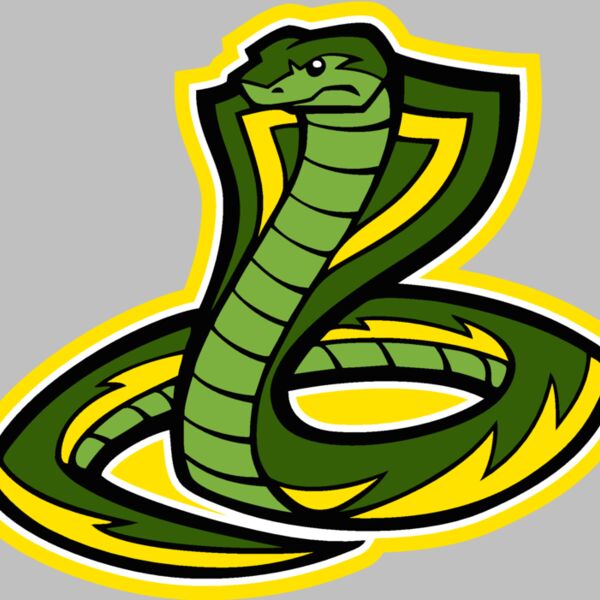 cbrasnkjk07 Thumbnail