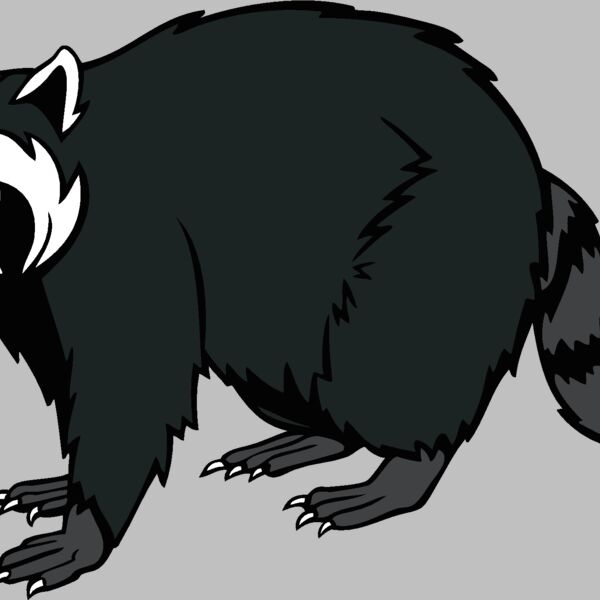 raccoonm08 Thumbnail