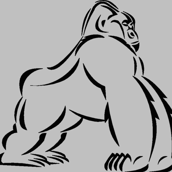 gorillatribal Thumbnail