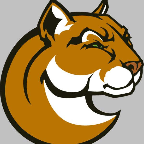 cougar03v4clr  2  Thumbnail