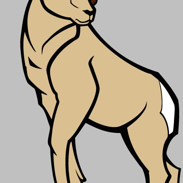 ram02v4clr Thumbnail