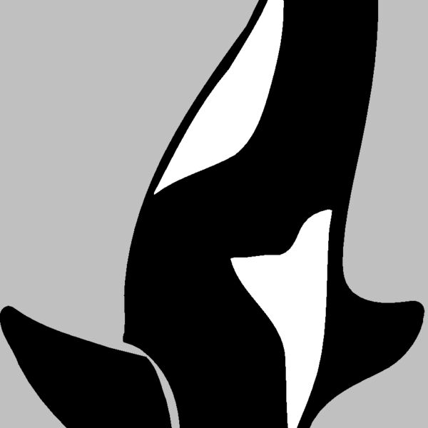 killerwhale04 Thumbnail