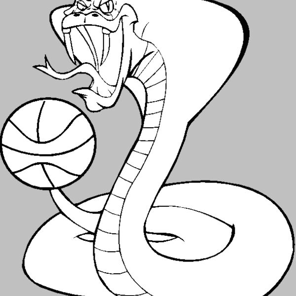 cobrabskblbns Thumbnail