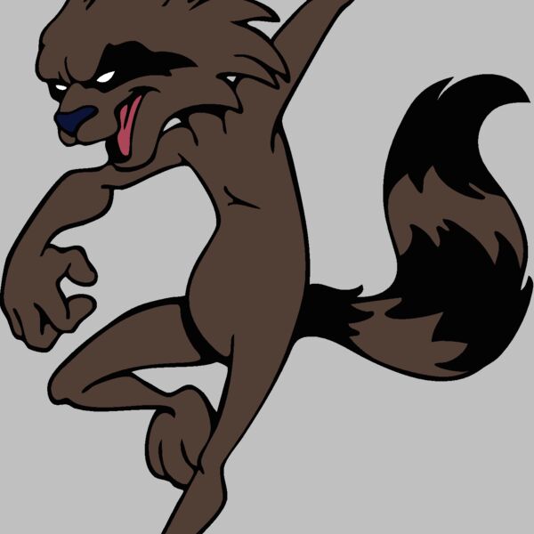 raccoonmsct05 Thumbnail