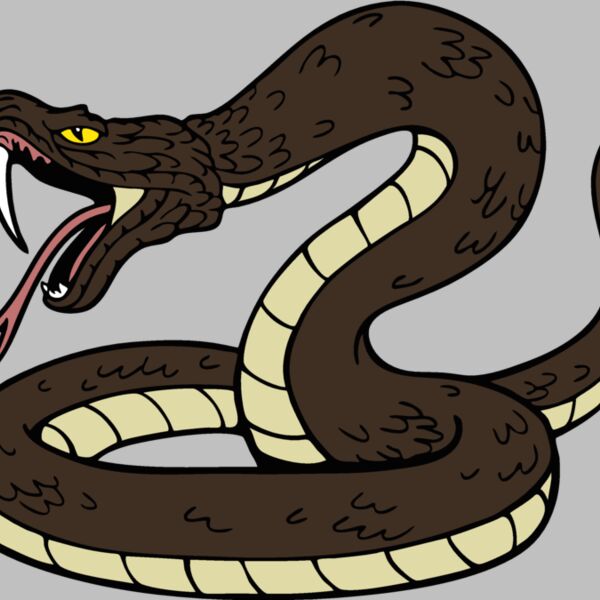 snakemsct04 Thumbnail