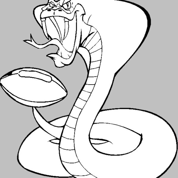 cobraftblbns Thumbnail