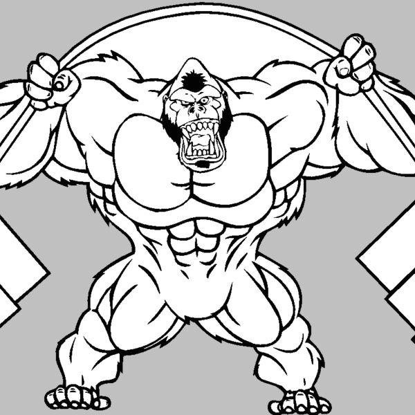 gorillaweights Thumbnail