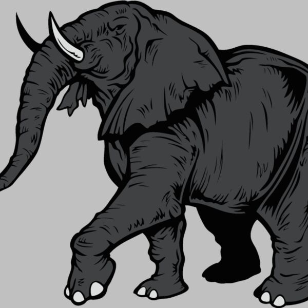 elephantj021 Thumbnail