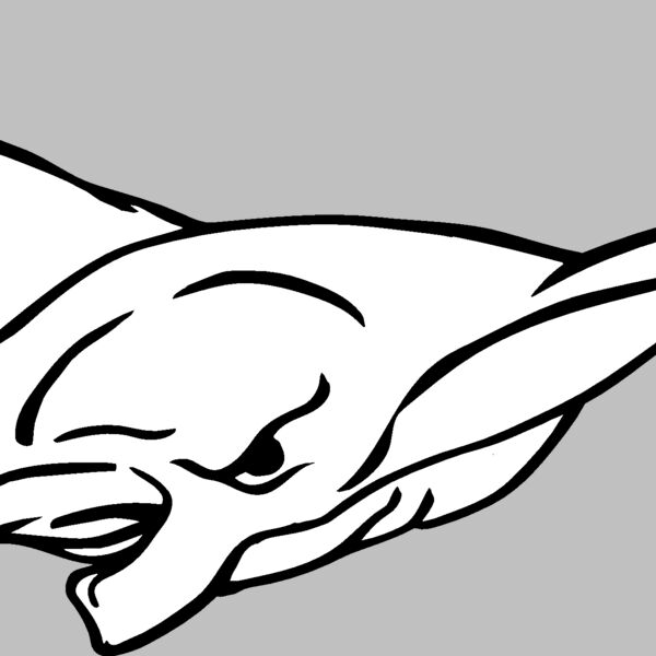 mantaray05 Thumbnail