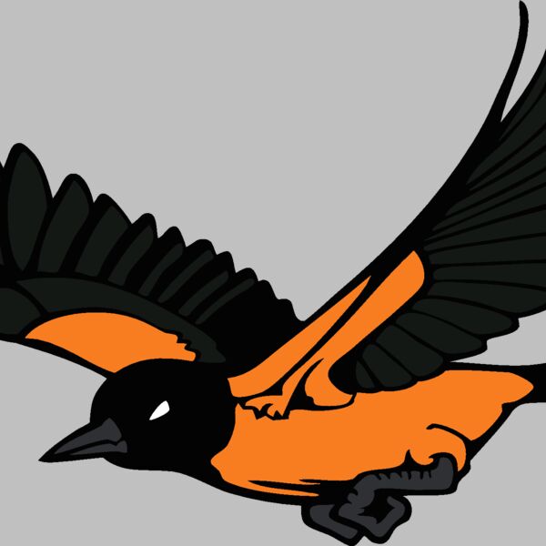 oriolemsct7 Thumbnail