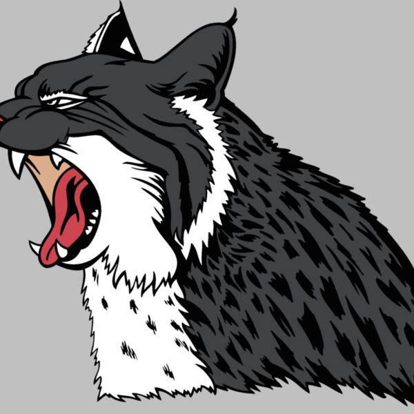 wildcat17v4clr Thumbnail