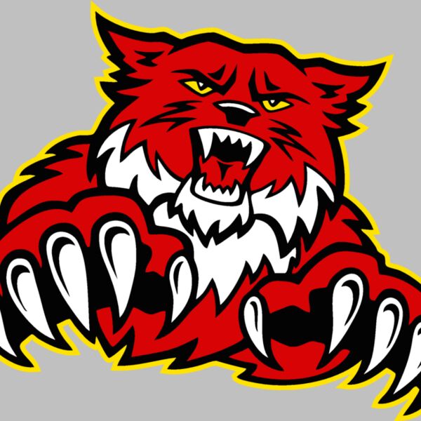 wildctjk09 Thumbnail