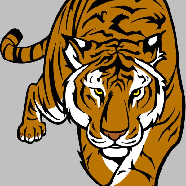 tiger12v4clr Thumbnail