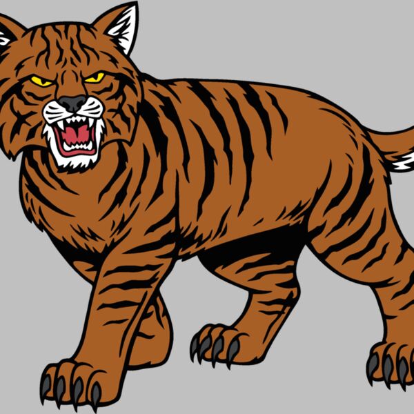 wildcat04v4clr Thumbnail