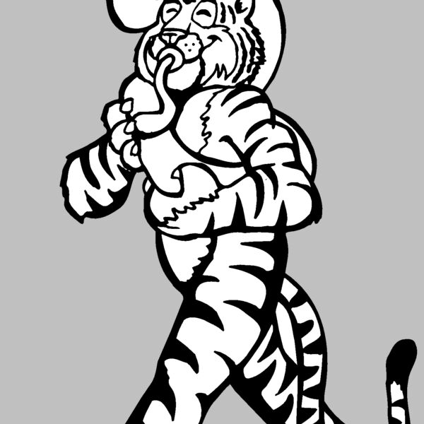 tiger band Thumbnail
