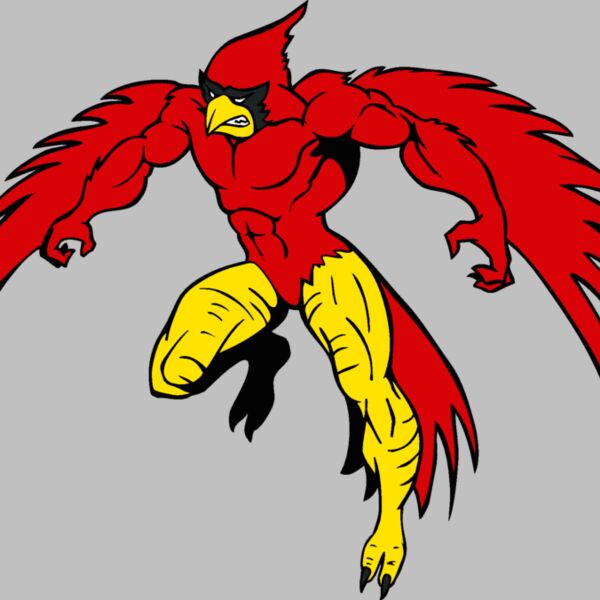 cardinalmn3 Thumbnail