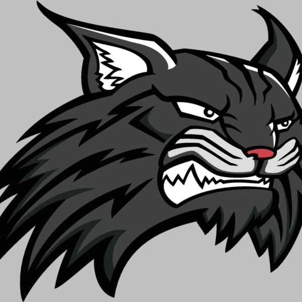 wildcat11v4clr Thumbnail