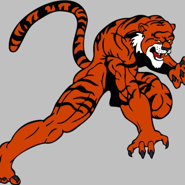 tigermsct 4 Thumbnail