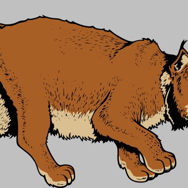 wildcat06v4clr Thumbnail