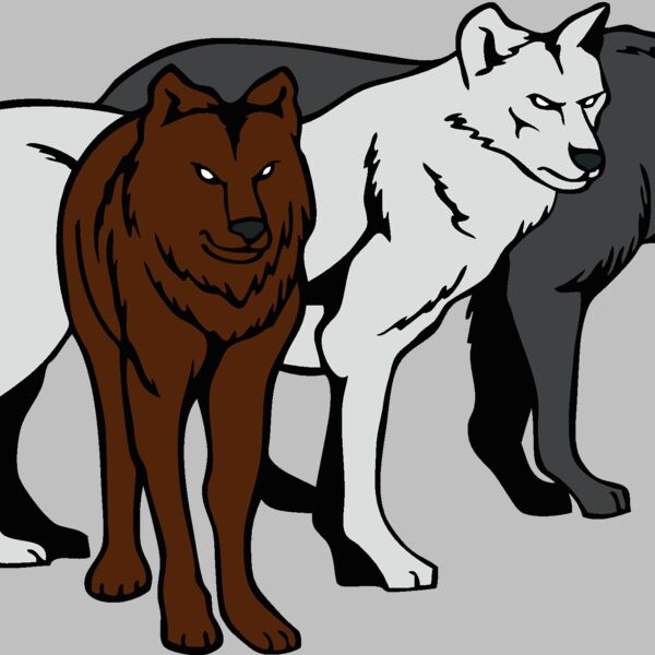 wolvesp023 Thumbnail