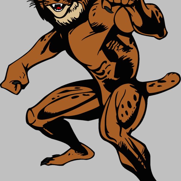 wildcatbc3 Thumbnail