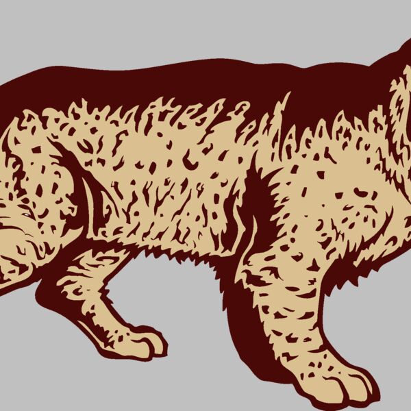 wildcatj022 Thumbnail