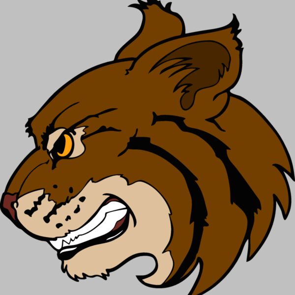 wildcathd01 Thumbnail