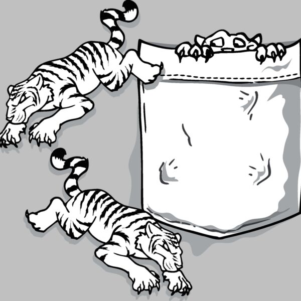 tiger pocket Thumbnail