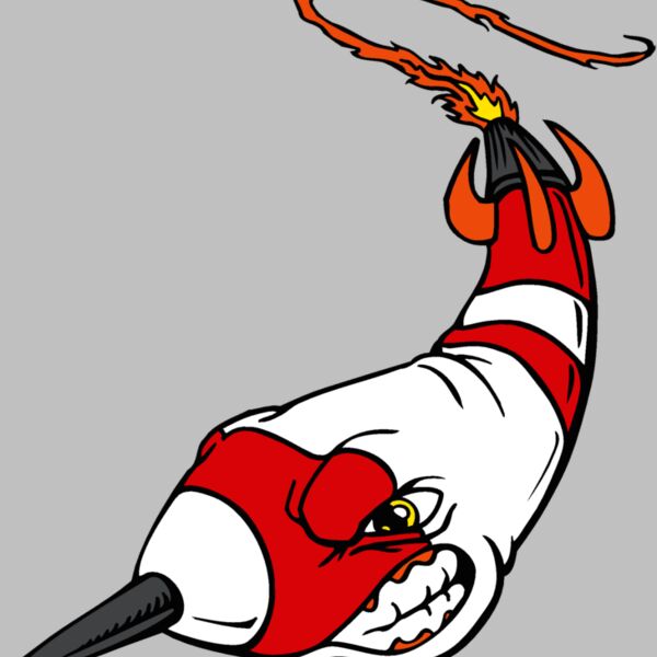 rocketmn01 Thumbnail