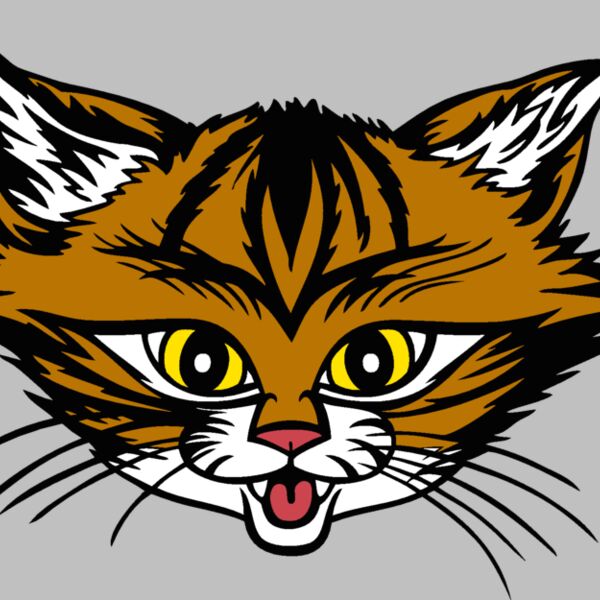 wildcat02v4clr  2  Thumbnail