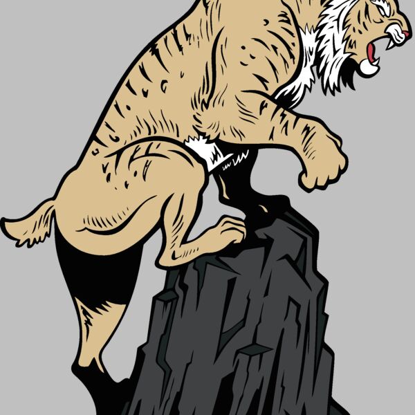 wildcat16v4clr Thumbnail